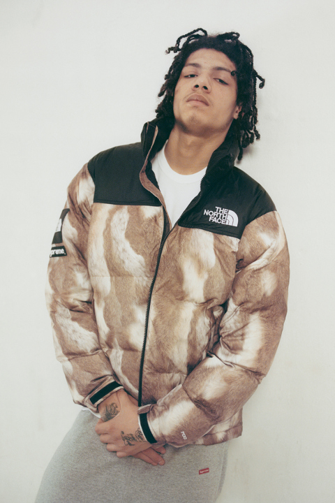 supreme_x_the_north_face_2013_fallwinter_collection_1.jpg