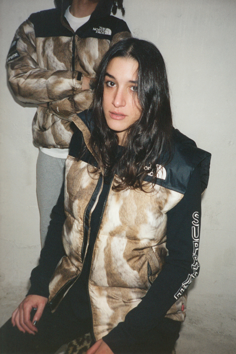 supreme_x_the_north_face_2013_fallwinter_collection_2.jpg