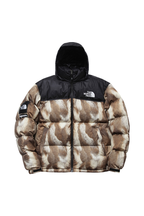 supreme_x_the_north_face_2013_fallwinter_collection_4.jpg