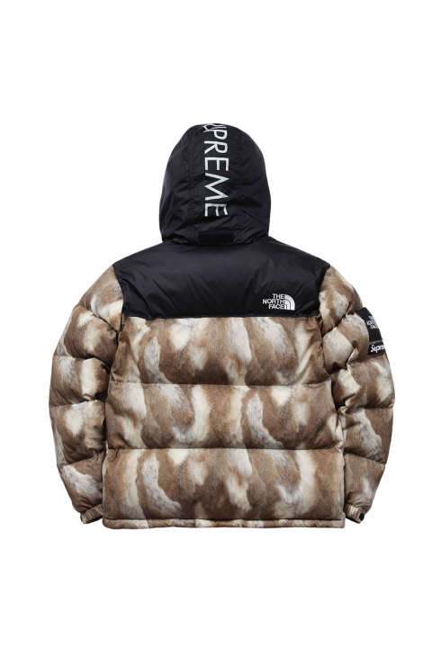 supreme_x_the_north_face_2013_fallwinter_collection_5.jpg
