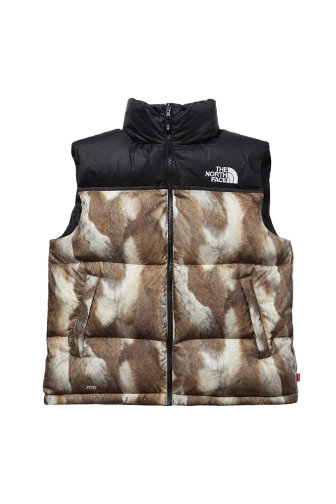 supreme_x_the_north_face_2013_fallwinter_collection_6.jpg