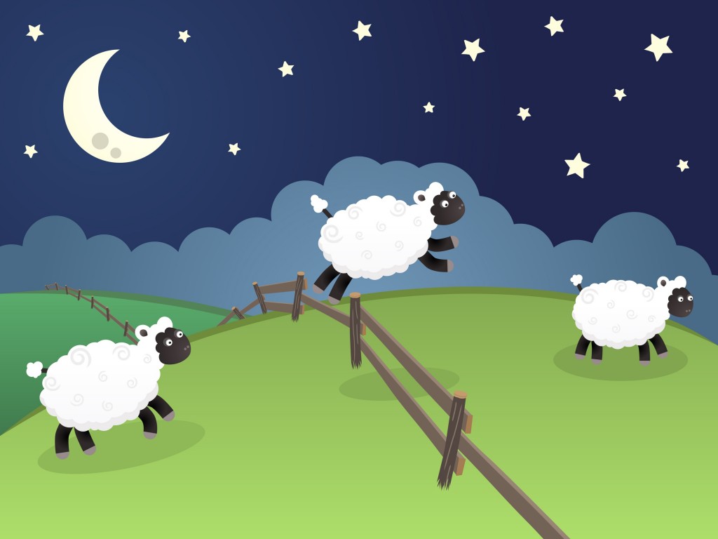 sheep1.jpg