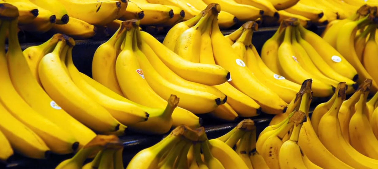 bananas1.jpg