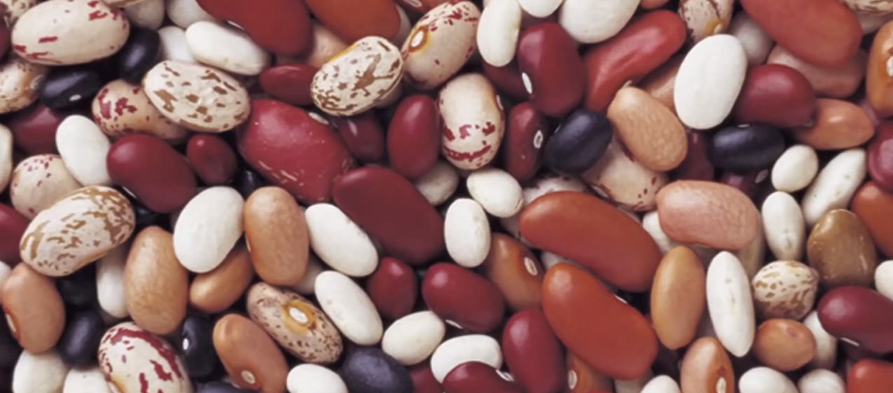 beans1.jpg