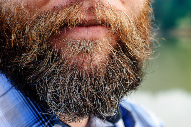beards2.jpg