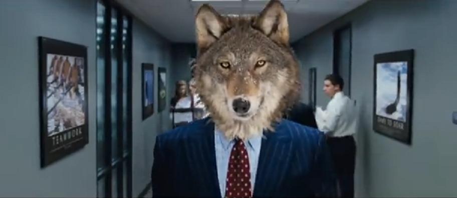 wolf.JPG