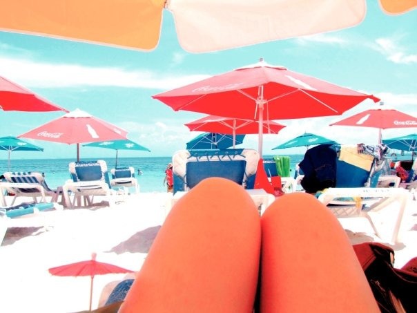hot_dog_legs_beach.jpg