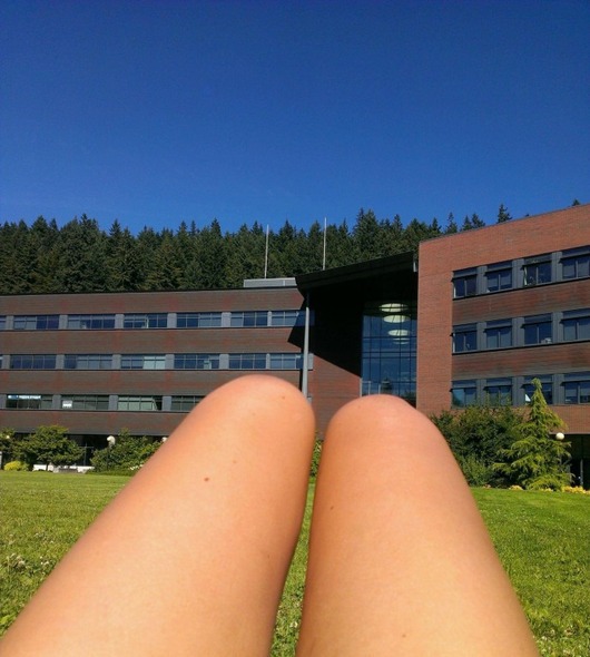 hot_dog_legs_outside.jpg