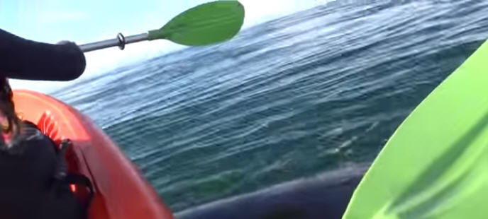 kayak1.jpg