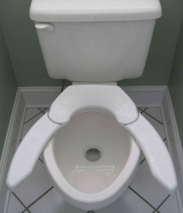 Adjustable_Advantage_toilet_seat.jpg