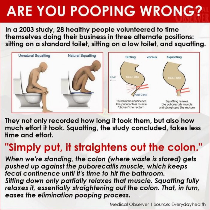 poop1.jpg