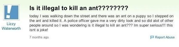serious_questions_stupid_people_14.jpg