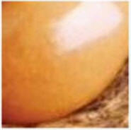 eggbutt9.jpg