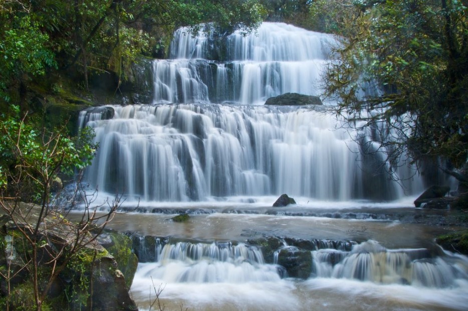 NZ_nature.jpg