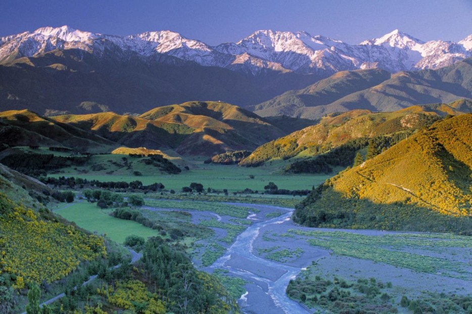 NZ_nature_16.jpg