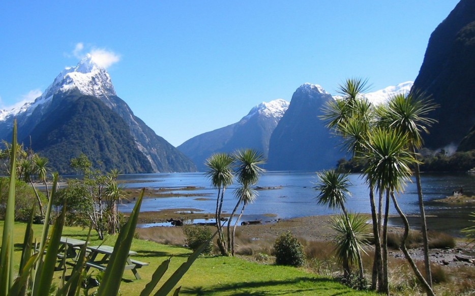 NZ_nature_18.jpg