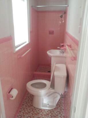 toilet5.jpg