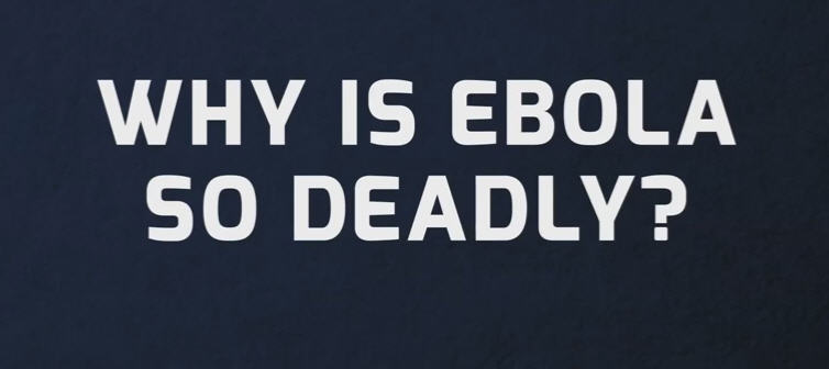 ebola1.jpg