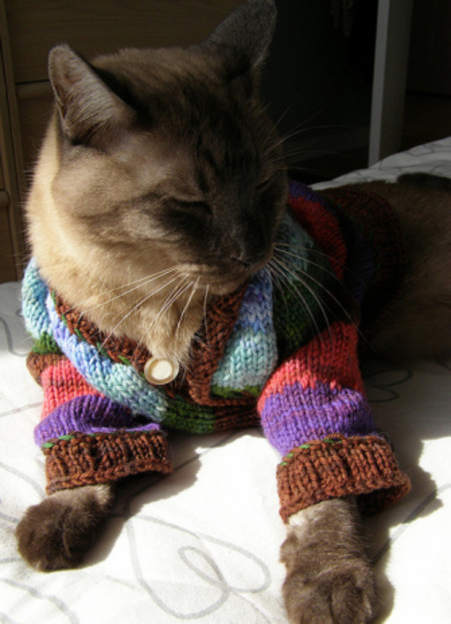 catcardigan5.jpg