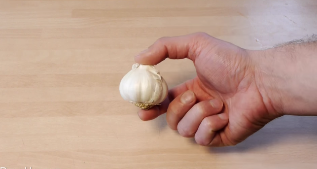 garlic1.png