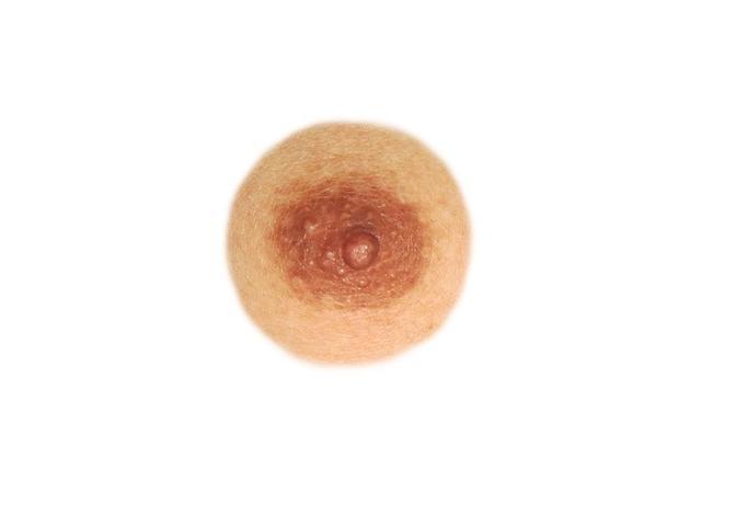 nipples2.jpg