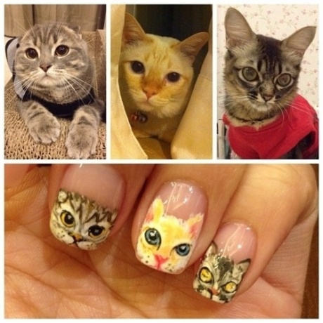 cat_manicure_1.jpg