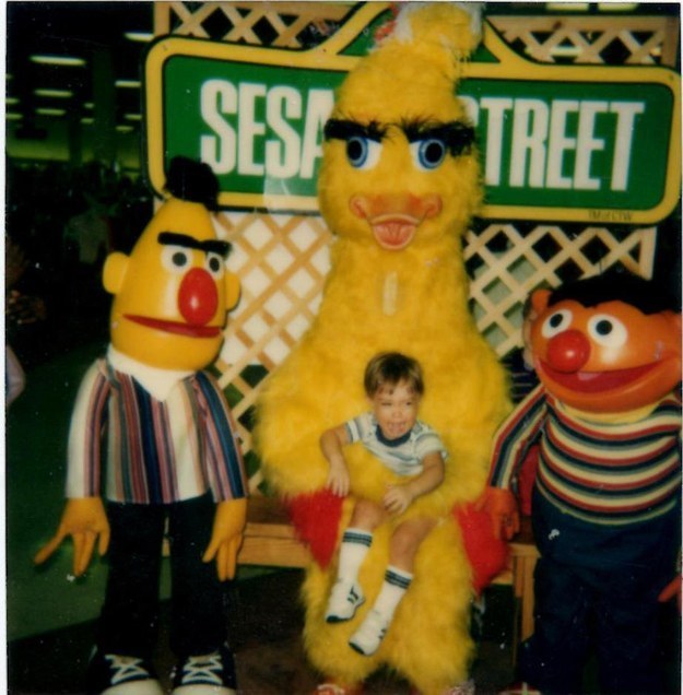 bigbird1.jpg