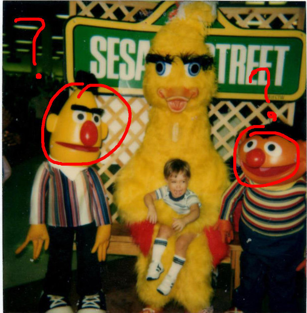 bigbird3.jpg