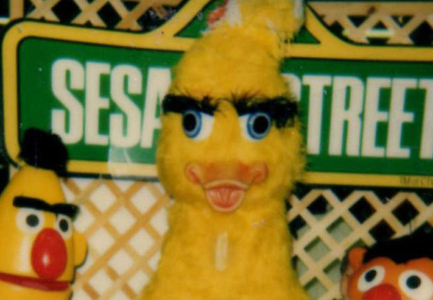 bigbird4.jpg