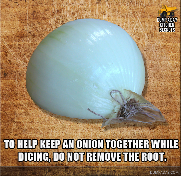Onion_Dicing_tip_Dump_Kitchen_Secrets.jpg