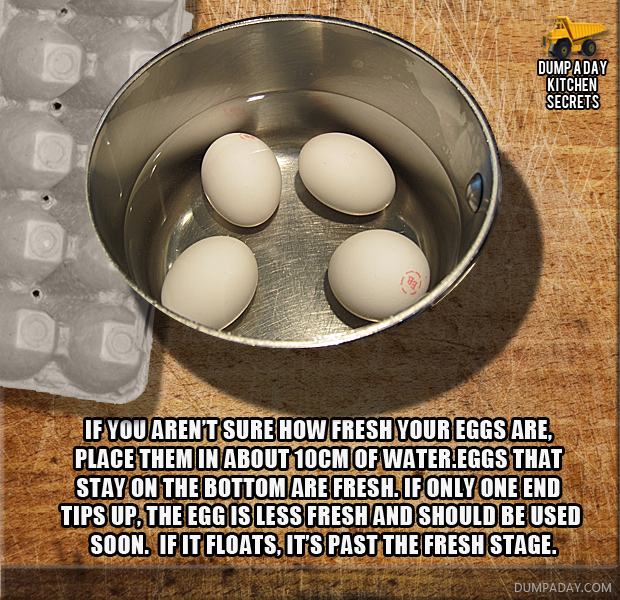 freshness_of_eggs_Dump_Kitchen_Secrets.jpg