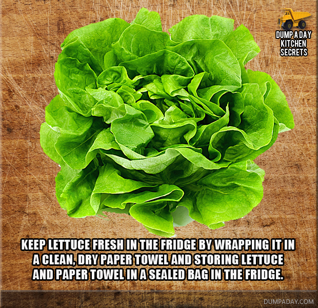 lettuce_fresh_Dump_Kitchen_Secrets.jpg