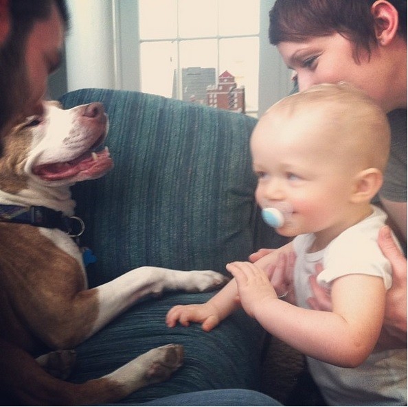 babies_and_dogs_12.jpg