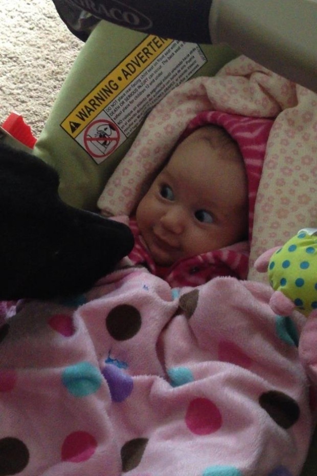 babies_and_dogs_13.jpg