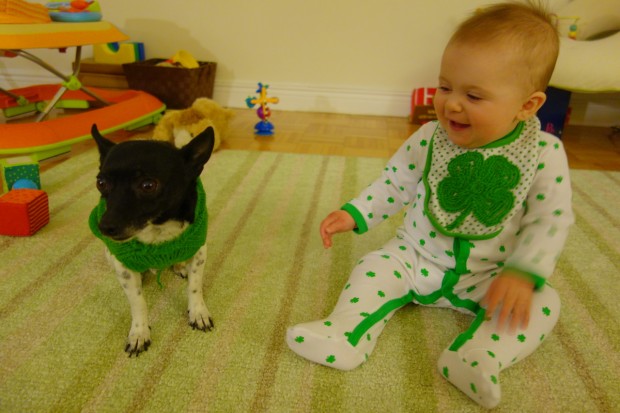 babies_and_dogs_27.jpg