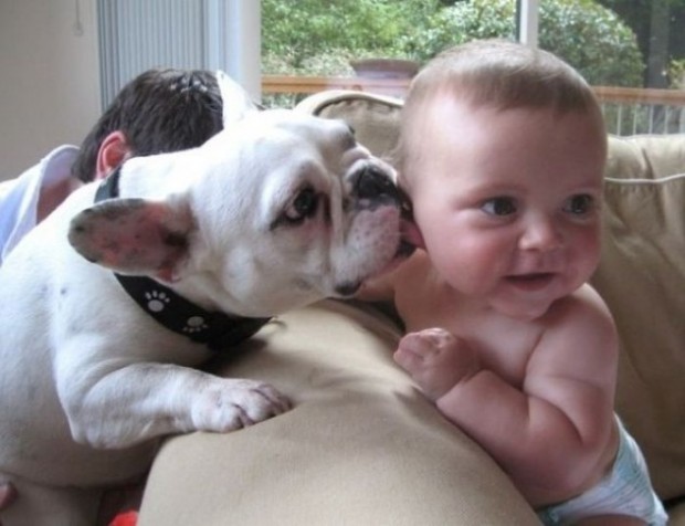 babies_and_dogs_29.jpg