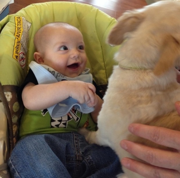 babies_and_dogs_3.jpg