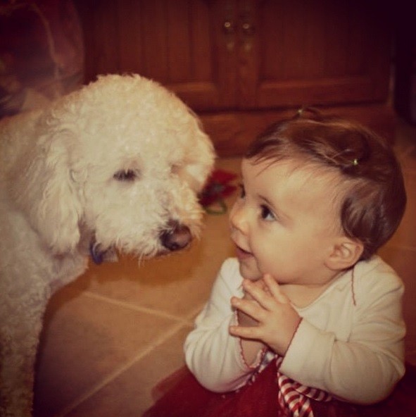 babies_and_dogs_5.jpg