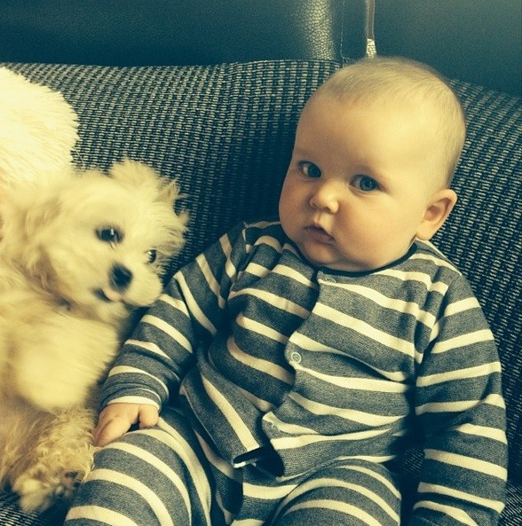 babies_and_dogs_7.jpg