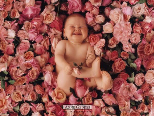 Bed_Of_Roses_Baby_photography.jpg