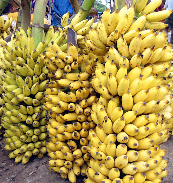bananas10.jpg