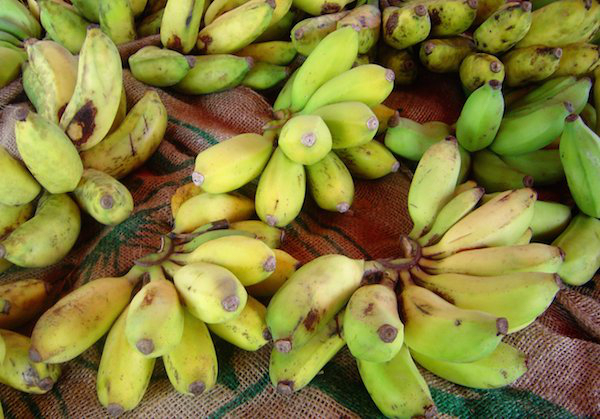 bananas13.jpg