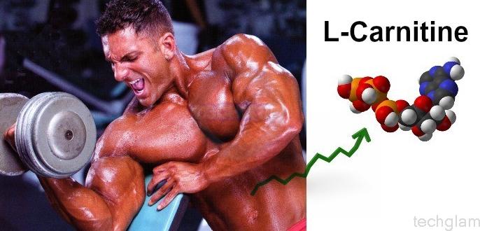 L_Carnitine.jpg