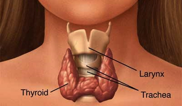 hypothyroid12.jpg