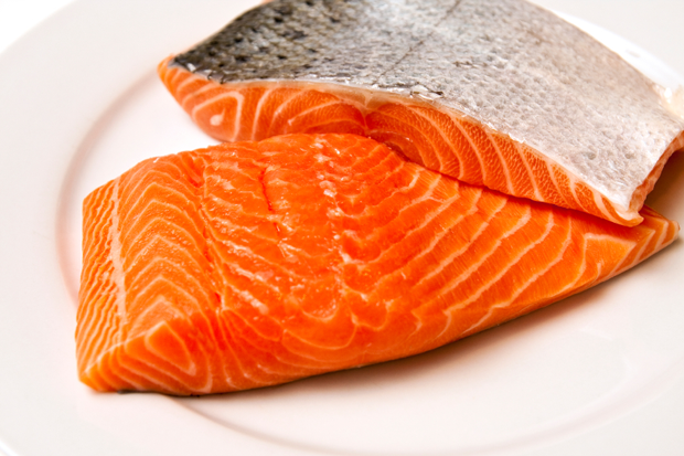 salmon_filets_duo_620px.png