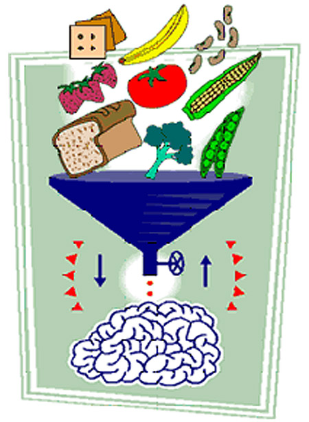 brain_food_chart.jpg