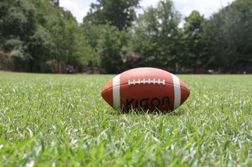 Football lying on the grass