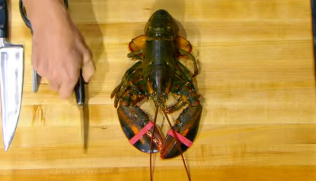 lobster1.JPG