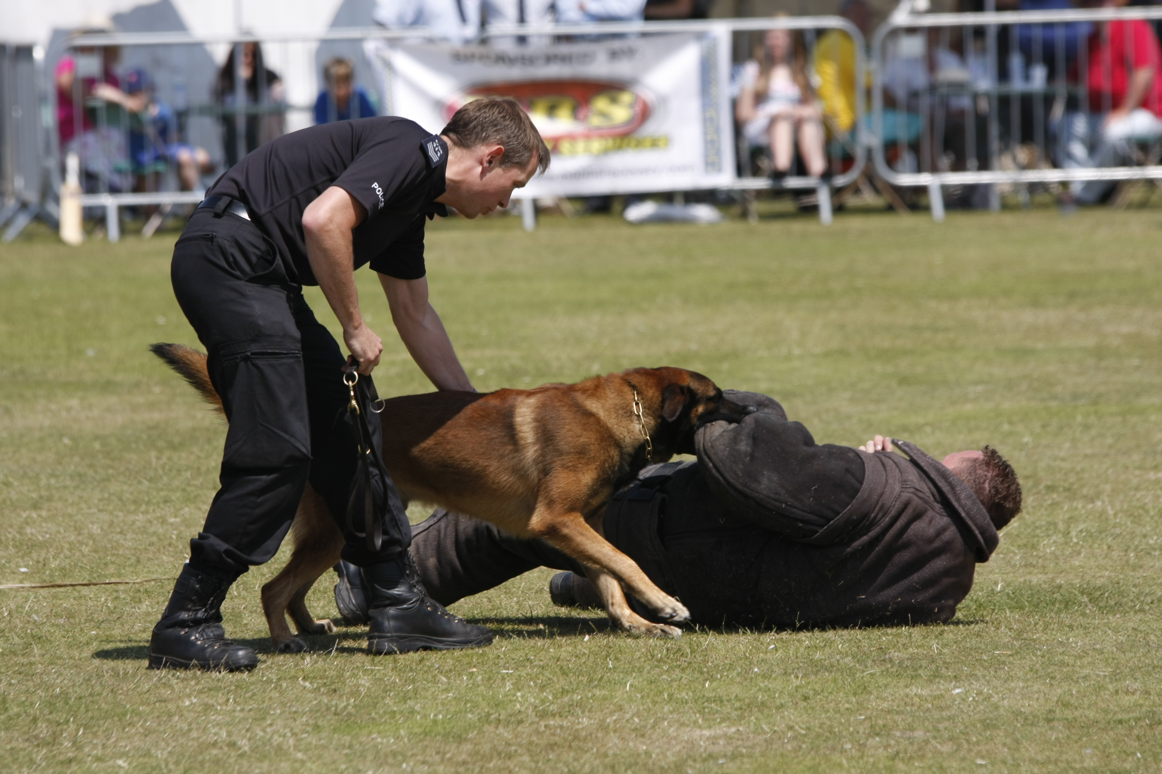 Sussex_Police_Dogs__9221050585_.jpg