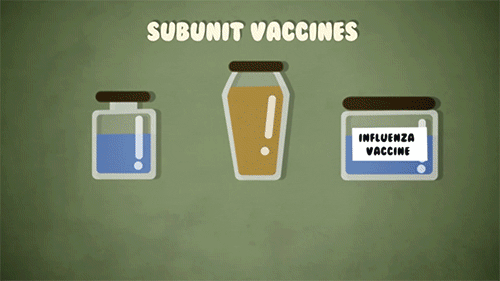 vaccine1.gif